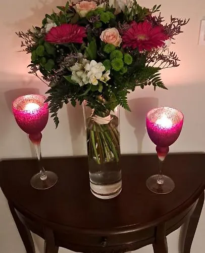 Figaro Проживание в семье