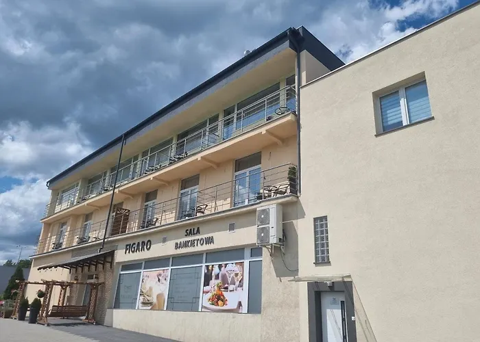 Figaro Проживание в семье